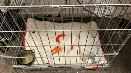 31-10-25 Lot na haar DA bezoek slapen in de bench op het werk van mama